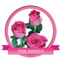 ΤΡΙΑΝΤΑΦΥΛΛΑ ΦΟΥΞΙΑ 60εκ. ROSEN PINK RHODOS 60cm
